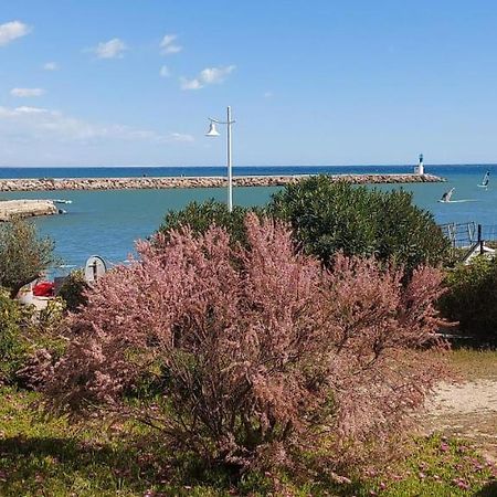 T3 Carnon, 1Ere Ligne 50M Plage Terrasse Parking 모기오 외부 사진