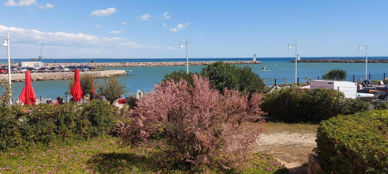 T3 Carnon, 1Ere Ligne 50M Plage Terrasse Parking 모기오 외부 사진